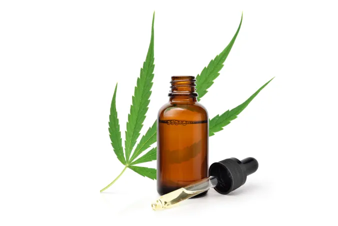 Cannabis Therapy